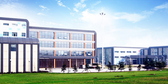 ����ɭ��������